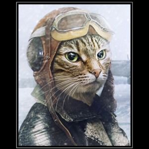 Meet your Posher, Christian Tourettes b'Staard III